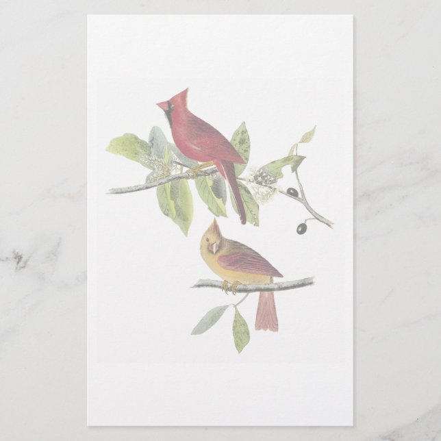 Papeterie de cardinal d'Audubon (Devant)