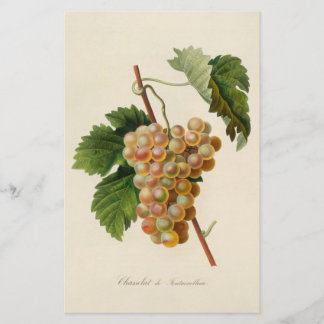 Papeterie de Chasselat De Fontainebleau