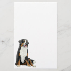 Papeterie de chien de montagne de Bernese