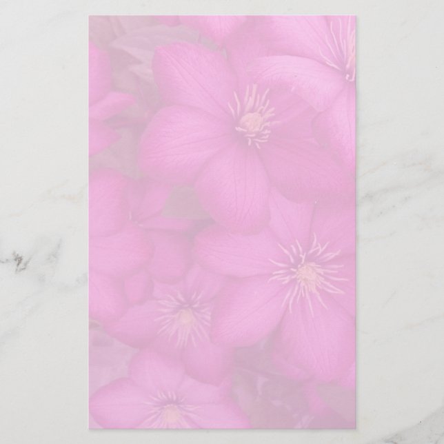 papeterie de clématite (Devant)