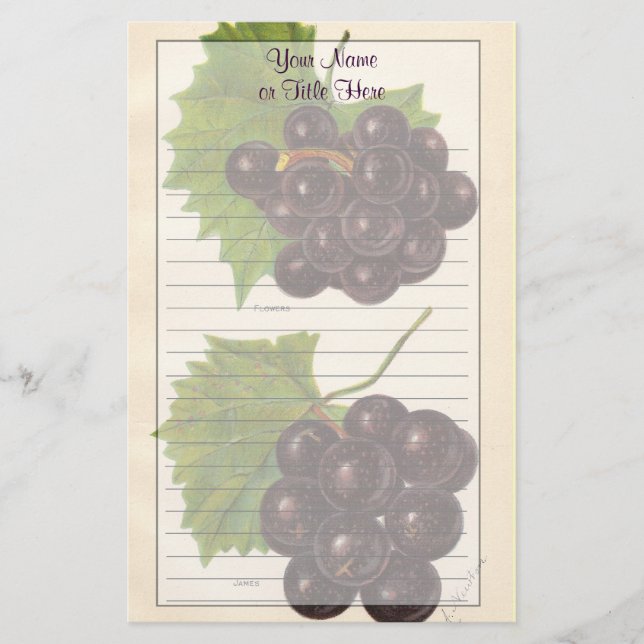 Papeterie de raisins vintages (Devant)