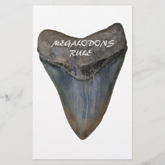 Papeterie Dent de requin de Megalodon
