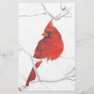 Papeterie Dessin cardinal d'hiver