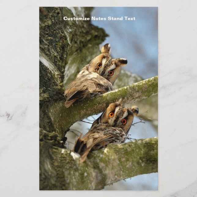 Papeterie Deux Chouettes dans les Bois, oiseaux, faune (Devant)