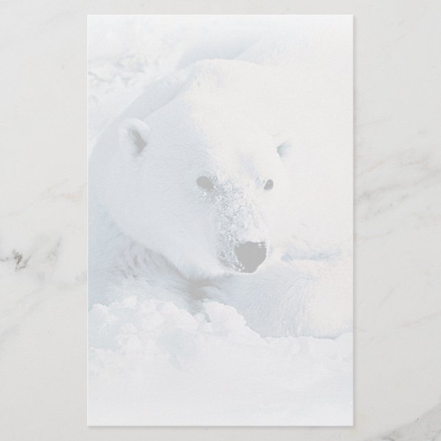 Papeterie d'ours blanc et de neige (Devant)