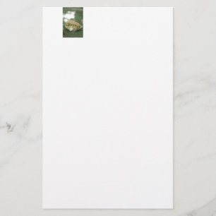 Papeterie Dream Rock