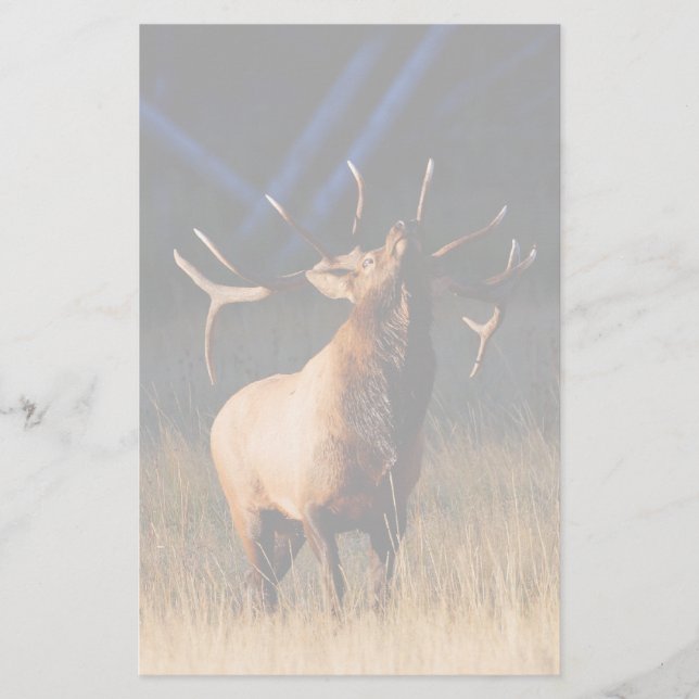 Papeterie élans (Devant)