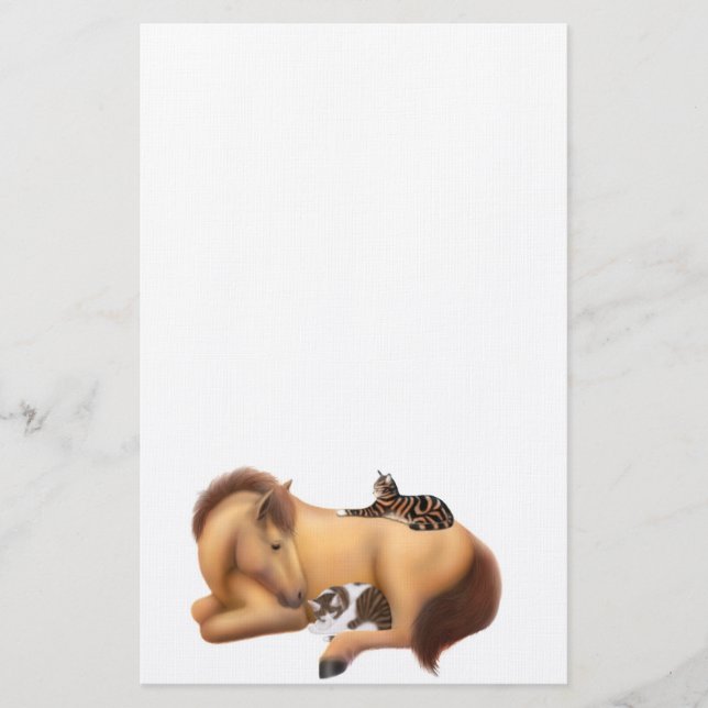 Papeterie Faire des amis avec des papiers Felines (Devant)