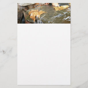 Papeterie Feuilles d'automne dans la cascade II Photographie