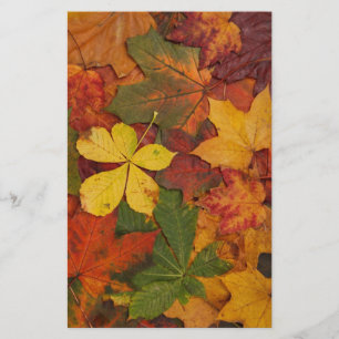 Papeterie Feuilles du feuillage d'automne en couleurs neutre