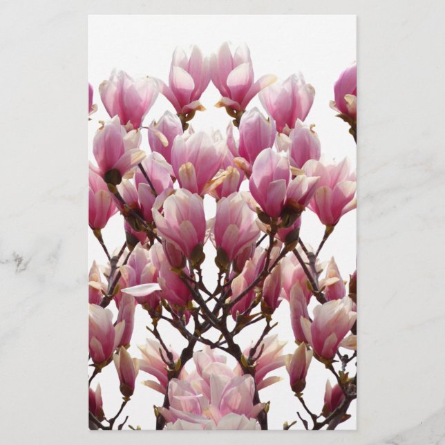Papeterie Fleur de printemps rose florissante Magnolias (Devant)