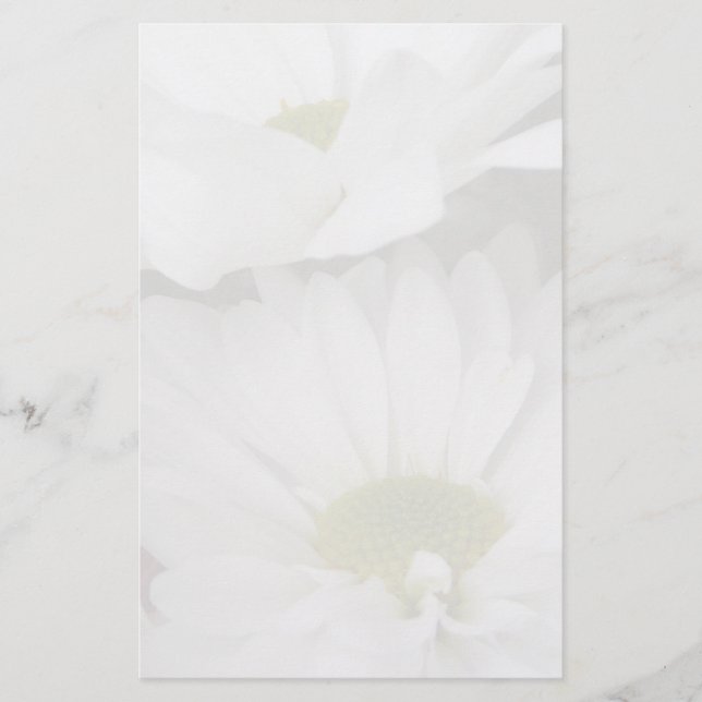 Papeterie Floral Marguerite-Amorti (Devant)