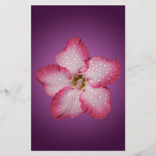 Papeterie Flore rose Adenium Violet rayé (Devant)