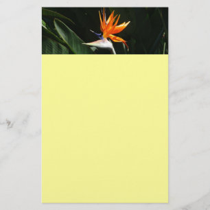 Papeterie Flower tropical orange paradise