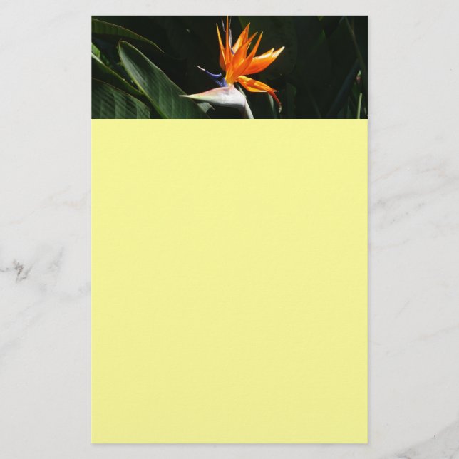 Papeterie Flower tropical orange paradise (Devant)