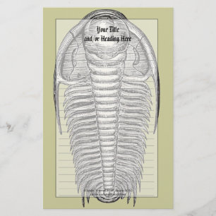 Papeterie fossile Trilobite vintage