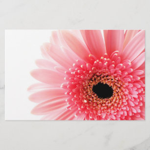 Papeterie Gerbera Daisy