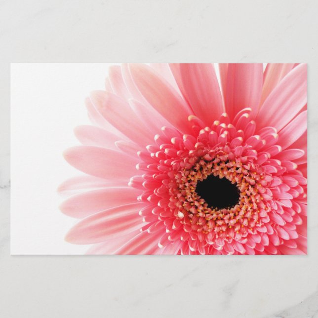 Papeterie Gerbera Daisy (Devant)