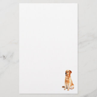 Papeterie Golden Retriever