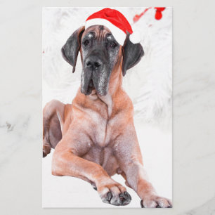 Papeterie Grand chien Danse Casquette Joyeux Noël