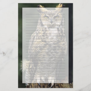 Papeterie Grand-duc d'Amérique (Bubo virginianus), corps ent