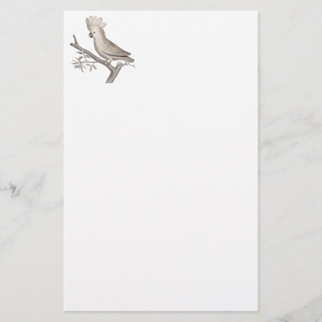 Papeterie Gravure antique d'un cacatoès Histoire Naturelle (Devant)