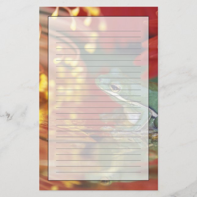 Papeterie Grenouille et réflexions parmi les fleurs. Crédit  (Devant)