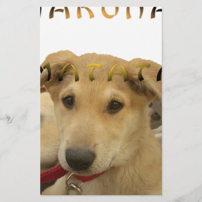 Papeterie Hakuna Matata Je sais ce que vous pensez pinctur (Devant)