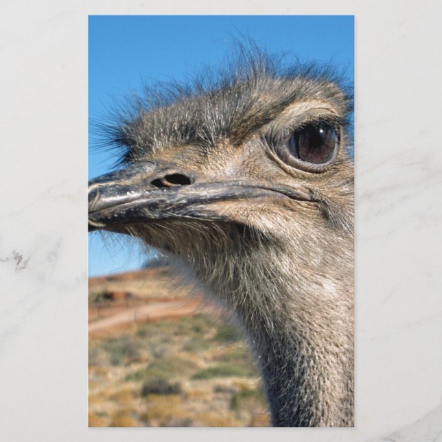 Papeterie Harry the Happy Ostrich (Devant)