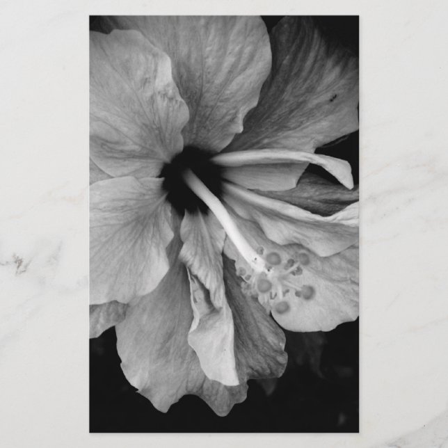 Papeterie Hibiscus (Devant)