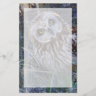 Papeterie Hibou des marais