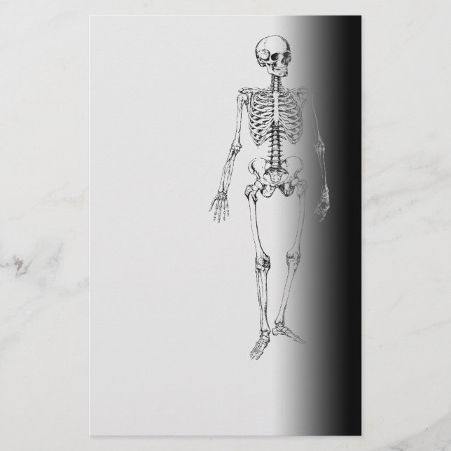 Papeterie Horreur squelettique Goth Halloween effrayant (Devant)