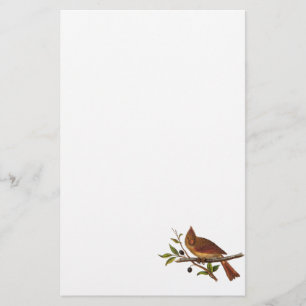 Papeterie Illustration cardinale vintage d'oiseau de chanson
