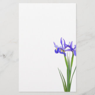 Papeterie Iris pourpre