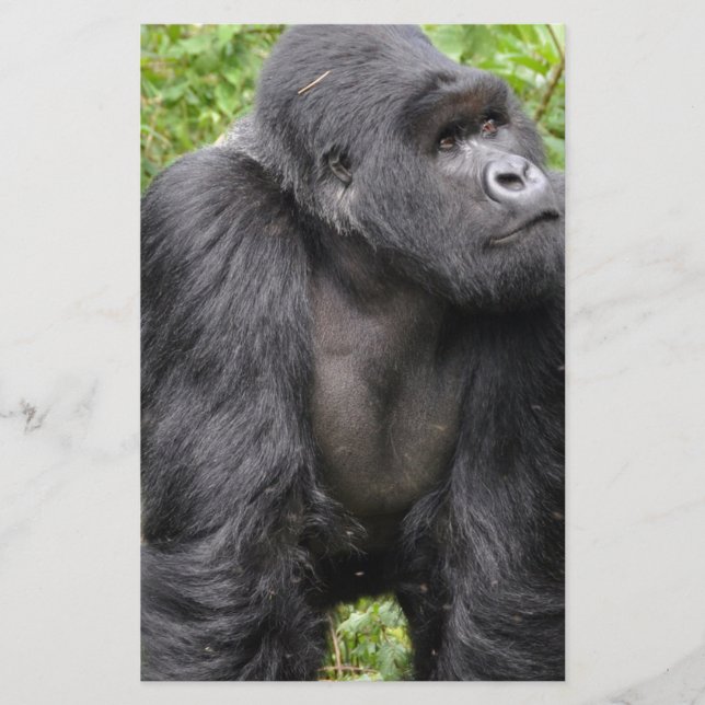 Papeterie Joyeux singe (Devant)