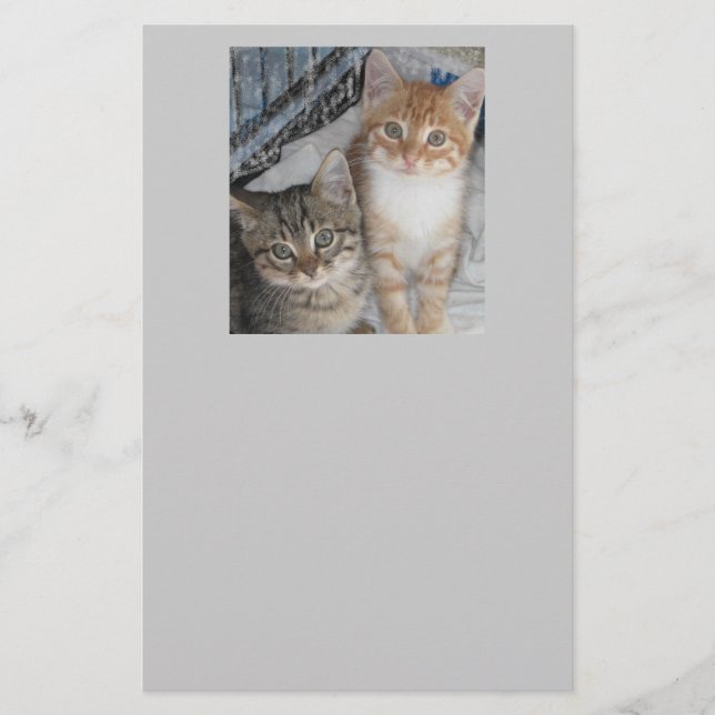 Papeterie Just Kittens (Devant)