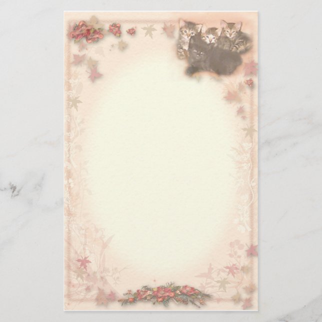 Papeterie Kitties (Devant)