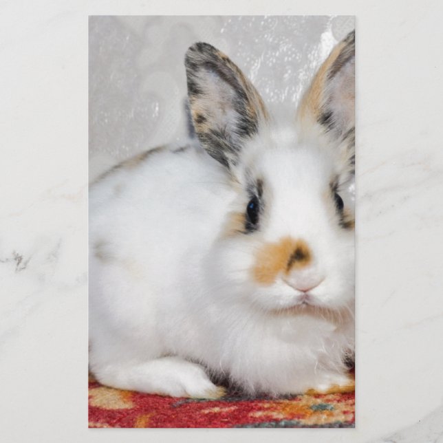 Papeterie Lapin de Pâques (Devant)