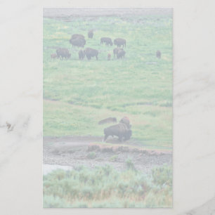 Papeterie Le bison américain
