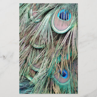 Papeterie Le paon naturel observe les plumes pelucheuses