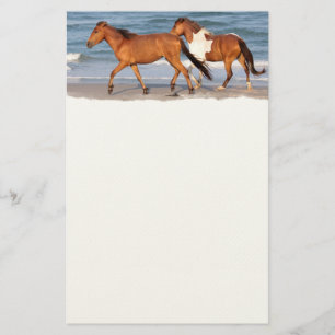 Papeterie Le Sunset Beach Horse