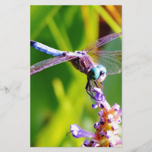 Papeterie libellule turquoise et violette