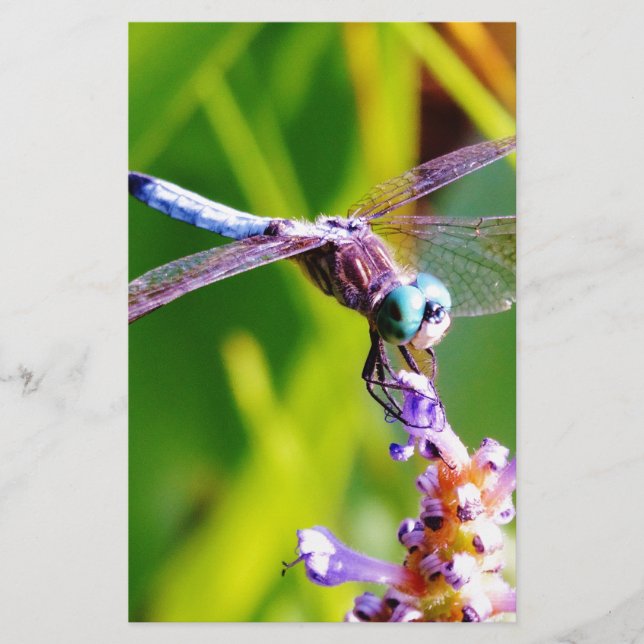 Papeterie libellule turquoise et violette (Devant)