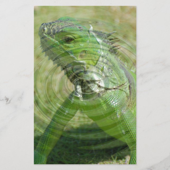 Papeterie L'Iguana verte (Devant)