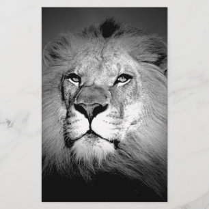 Papeterie Lion noir et blanc