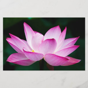 Papeterie Lotus rose