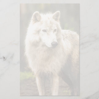 Papeterie Loup de l'Arctique humide au printemps Photo