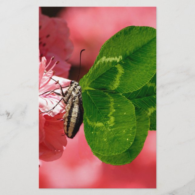 Papeterie Lucky Butterfly (Devant)