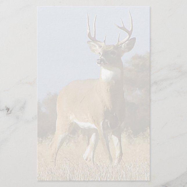 Papeterie Mâle de Whitetail d'automne (Devant)