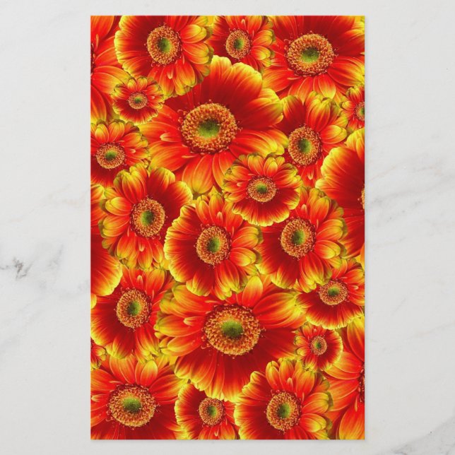 Papeterie Marguerites de Gerbera jaune et orange (Devant)